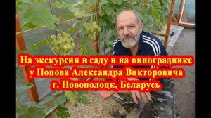 На экскурсии в саду и на винограднике у Попова Александра Викторовича, г.Новополоцк, север Беларуси