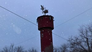 У природы нет плохой погоды (12.12.2024)