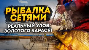 Рыбалка сетями! Реальный улов золотого карася!