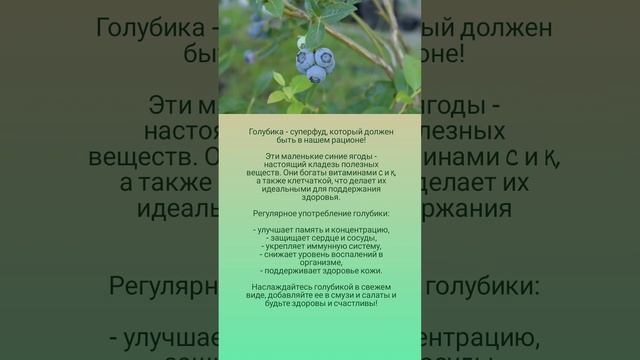 Польза голубики 🤗🫐🌿