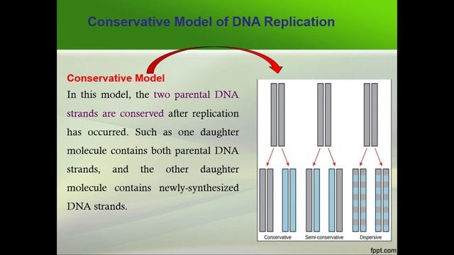 Models of DNA Replication II Molecular Biology ll Dr.Hadi Bux смотреть онлайн
