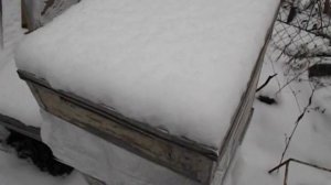 ранняя зимняя подкормка слабых отводков пчел