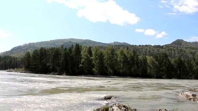 ПРОБУЙ , стихи о направлениях психологии на фоне Алтая. - читает В Пироцкий смотреть онлайн