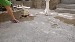 Елизабет Очарование Дома Романовых 2 мес