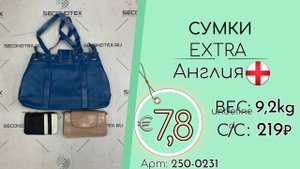250-0231 #2214 Сумки Экстра Всесезон Англия