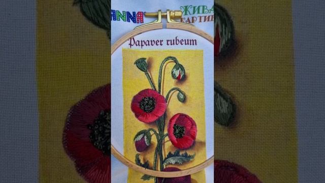 Panna.Маки из серии Живая картина.Вышивка short #shorts #вышивка смотреть онлайн