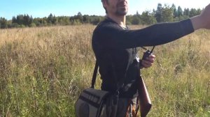 Охота с Поинтером, начало пути.