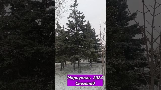 Мариуполь 2024. Метель. Снегопад. Mariupol 2024. Blizzard. Snowfall.