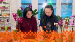 «Кыыс сайын» (13.12.24)