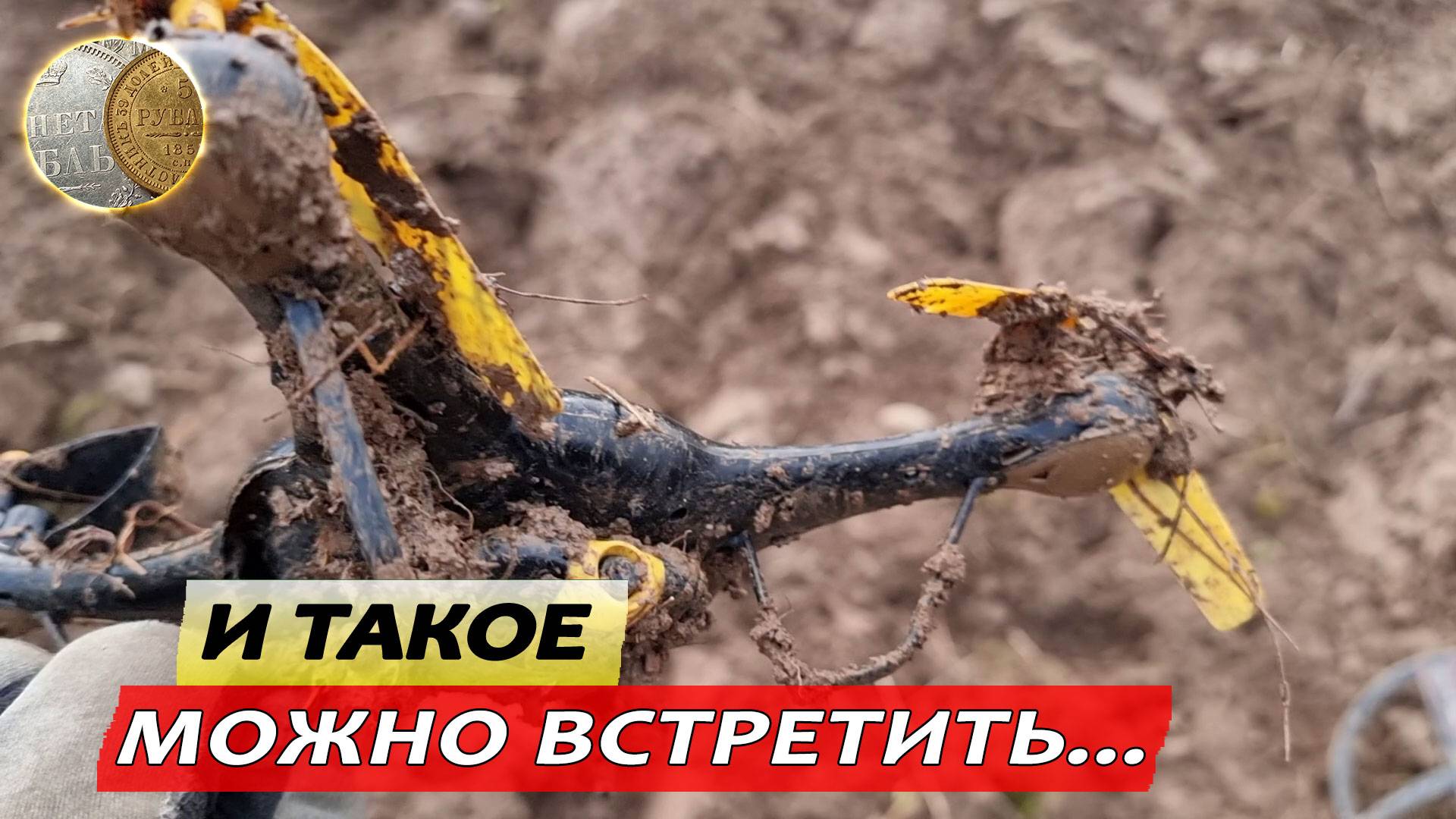 Пара дней металлопоиска в Новгородской Губернии 2024. Поиск монет и кладов с XP Deus 2.