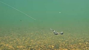 Зависание, сбрасывание и возвращение TUKA Kite : Chubby в исходную точку на течении