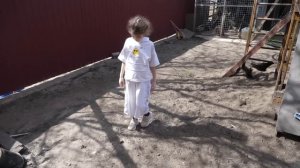 VLOG Как Алиса кровь сдавала и с логопедом занималась