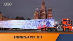 Инспецком досдавляет Ель-2025 в Московский Кремль