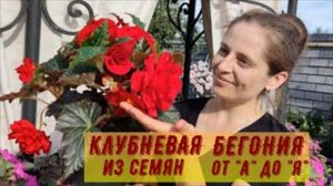 БЕГОНИЯ ИЗ СЕМЯН ОТ А до Я.  1 ЧАСТЬ.