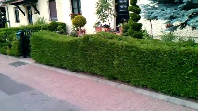 Кетен 2011год.Хутор . смотреть онлайн