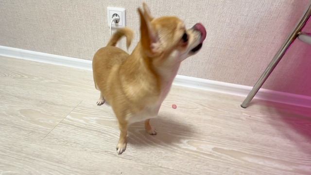 Распаковка кислых конфет😍🔥👾 смотреть онлайн