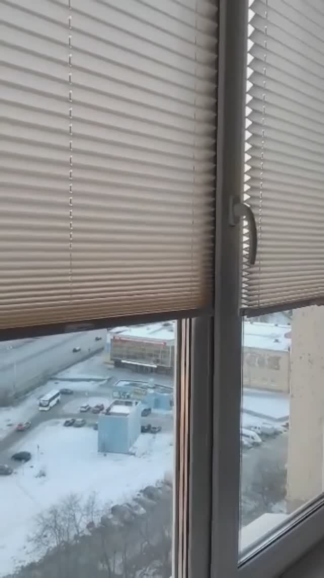 Нт 2024