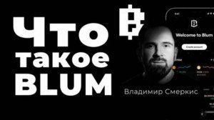 Blum Academy Dec 4 Crypto News