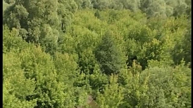 НАБЕРЕЖНЫЕ ЧЕЛНЫ. СЕЛО БОРОВЕЦКОЕ. смотреть онлайн