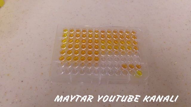 MAYTAR INTRO