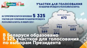 В Беларуси завершился этап образования участков для голосования на выборах президента