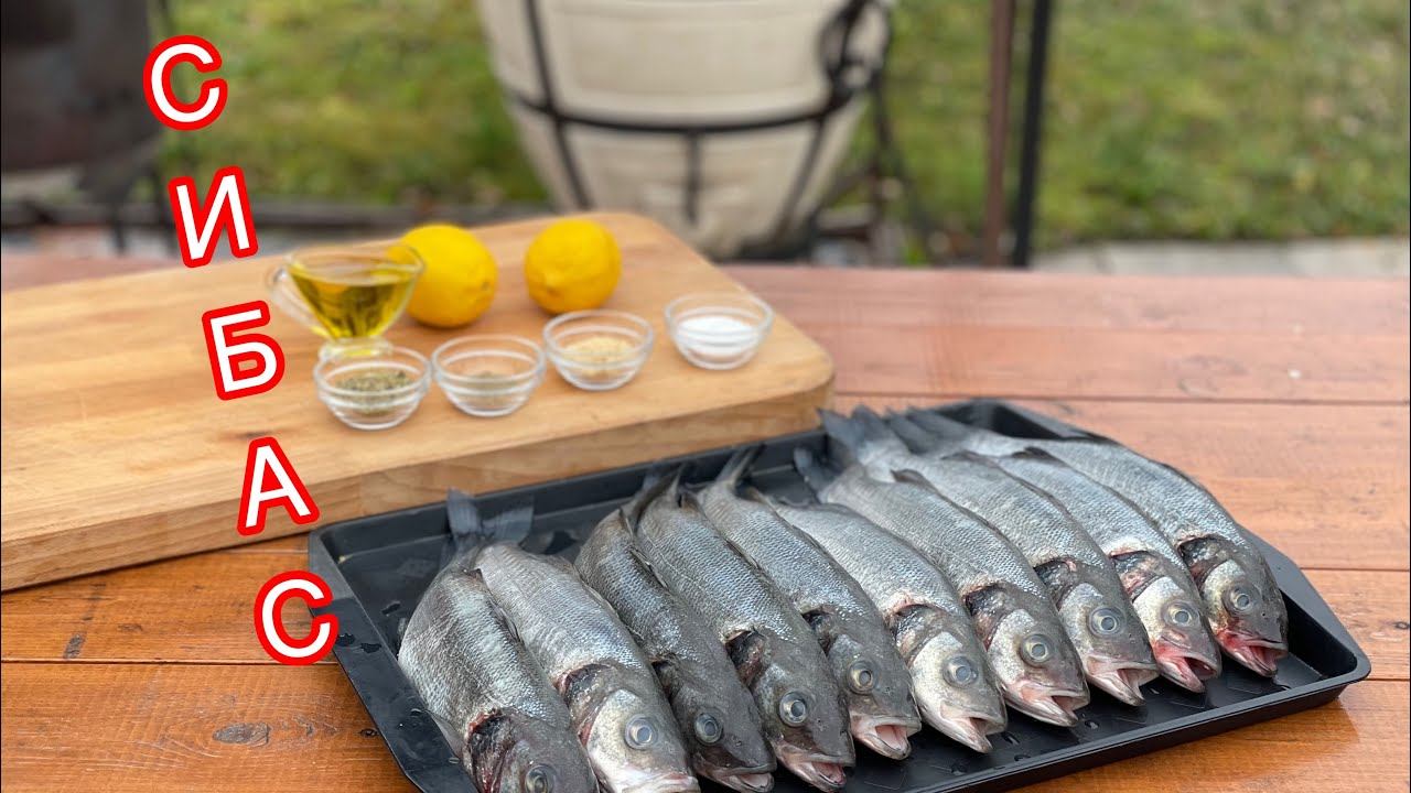 РЫБА в ТАНДЫРЕ. Как вкусно приготовить СИБАС
