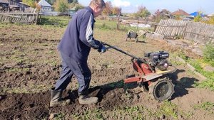 Насадка картофелекопалка