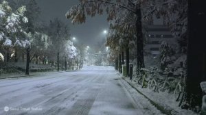 서울 30cm 엄청난 폭설에 마을이 정전되어 암흑, 눈사태 거리 영상. 엄청난