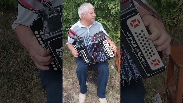 Гармонь в тональности РЕ МАЖОР смотреть онлайн