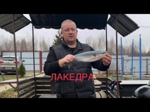 РЫБА ЛАКЕДРА Как вкусно приготовить
