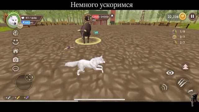 ПОБЕЖДАЕМ ЧЕТЫРЕХ БОССОВ БЕЗ СТАИ В #WILDCRAFT! (симулятор волка) смотреть онлайн