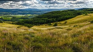 Истории из жизни  - Цена идеальной жизни...