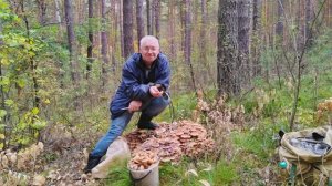 "Счастливый грибник"
