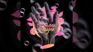 ДАНТЕ - ПРЯНЫМИ ТРАВАМИ🎶🎵🌃🌉🏙
