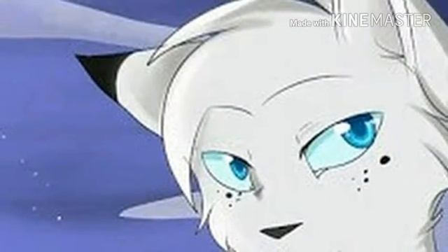 Белогривка и Остролап|Но он незнает ничего смотреть онлайн