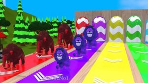 5 Giant Duck Cartoon, Tiger, Cow, Elephant, Gorilla, Paint Wild Animals Crossing Fountain Animation