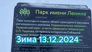 Парк имени Ленина перед реконструкцией, зимняя прогулка, снег, ветер, пасмурно