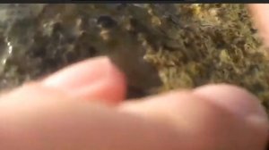 Мужик поскользнулся и упал в воду