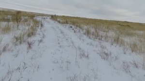охота на зайца 24-25 года. Насыщенный день!