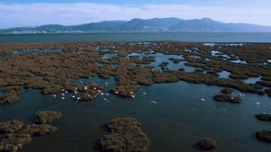 19132937-uhd_3840_2160_30fps