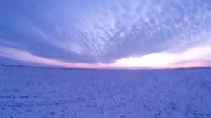 Охота на куропатку