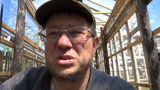 Какие сорта винограда я убрал со своего участка. Сезон 2023. Новополоцк. Север Беларуси.