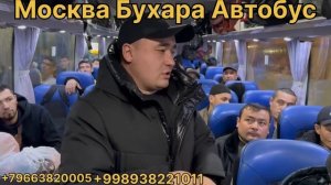 автобус Москва Таджикистан