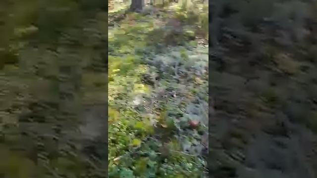 ♥️СЛАДКАЯ ПАРОЧКА❤️