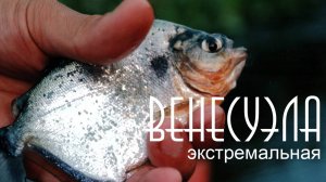 ВЕНЕСУЭЛА ЭКСТРЕМАЛЬНАЯ