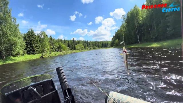 ✅ НА ВОДОМЁТАХ ПО ТАЁЖНОЙ РЕКЕ🚀РЫБАЛКА НА ХАРИУСА🎣🐟🐟🐟 5 ДНЕЙ В ТАЙГЕ С ДРУЗЬЯМИ👍☀️ #рыболов_севера смотреть онлайн