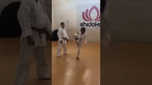 Karate Shorin Ryu  PE