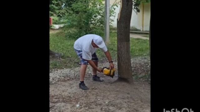 Дорогою добра