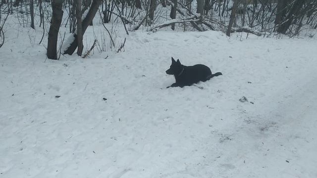 VID_20241213_163818.mp4 смотреть онлайн