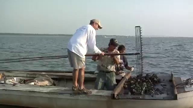 Oyster Farming "True Treasures of Apalachicola Bay" смотреть онлайн